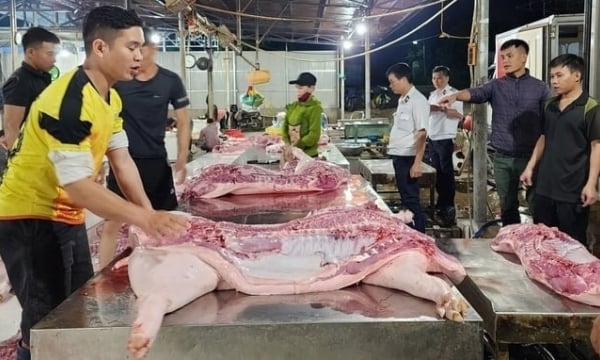 Inadequacy of slaughter facilities in Dak Lak: Both insufficient and weak